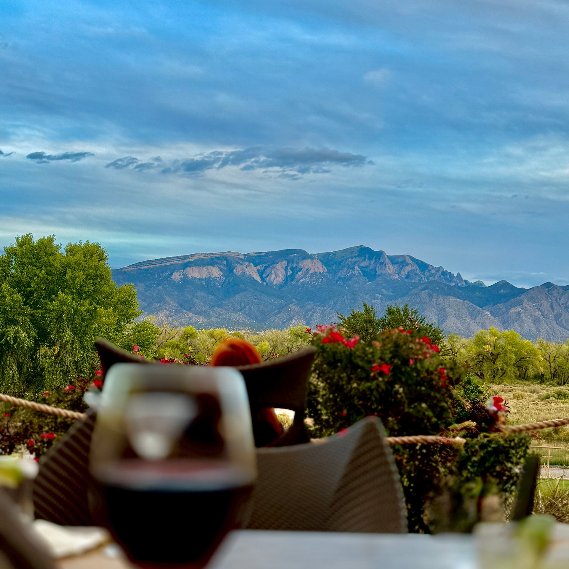 Scenic wine country vista